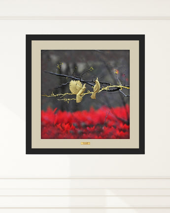 CGS069301 Color Collection Couple Birds in Frame 35x35 cm