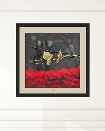 CGS080601 Color Collection Couple Birds in Frame 65x65 cm