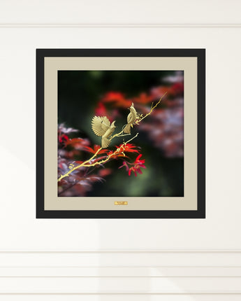 CGS080701 Color Collection Couple Birds in Frame 65x65 cm